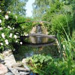Das Bild zeigt einen Gartenteich mit Holzbrücke und Wasserfall. Im Vordergrund liegen Steine und Schilf wächst an der rechten Seite des Bildes. Zwei Rosenbüsche stehen in voller Blüte.